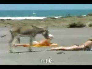 Zastrzel sex kamerki ...