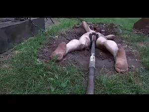 Pani uczy młodą kobi ...
