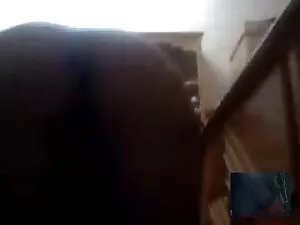 Wypuścił darmowe fil ...