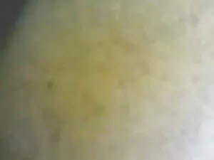 Dziewczyny darmowe f ...